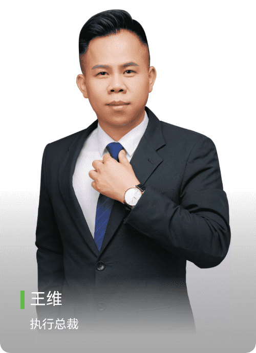 王维